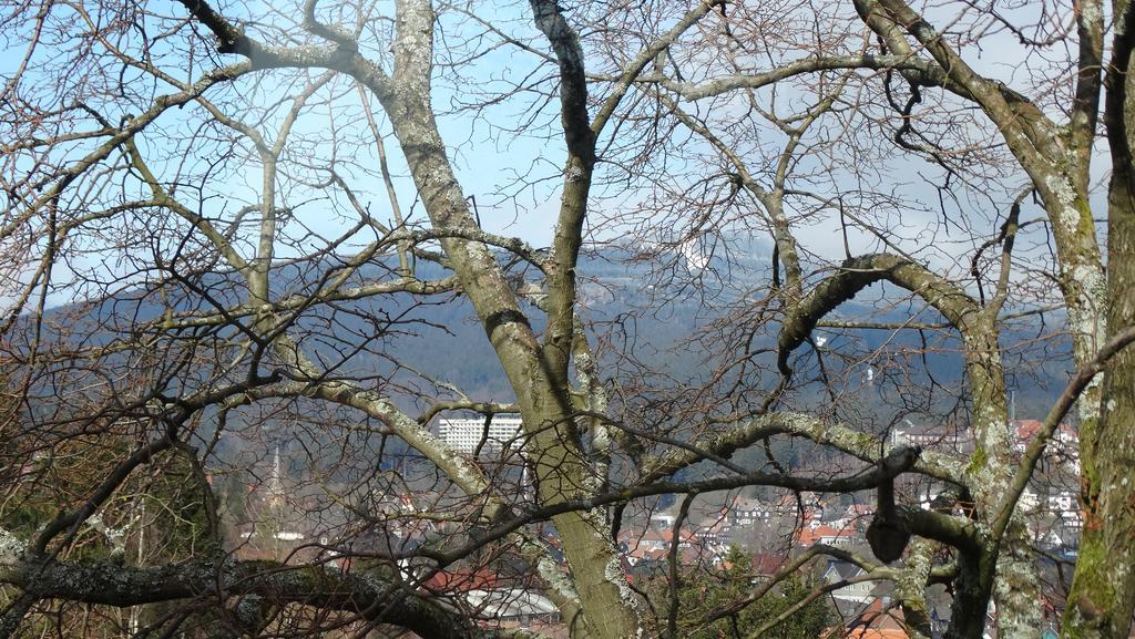 Bergziege Apartment Braunlage Exterior photo